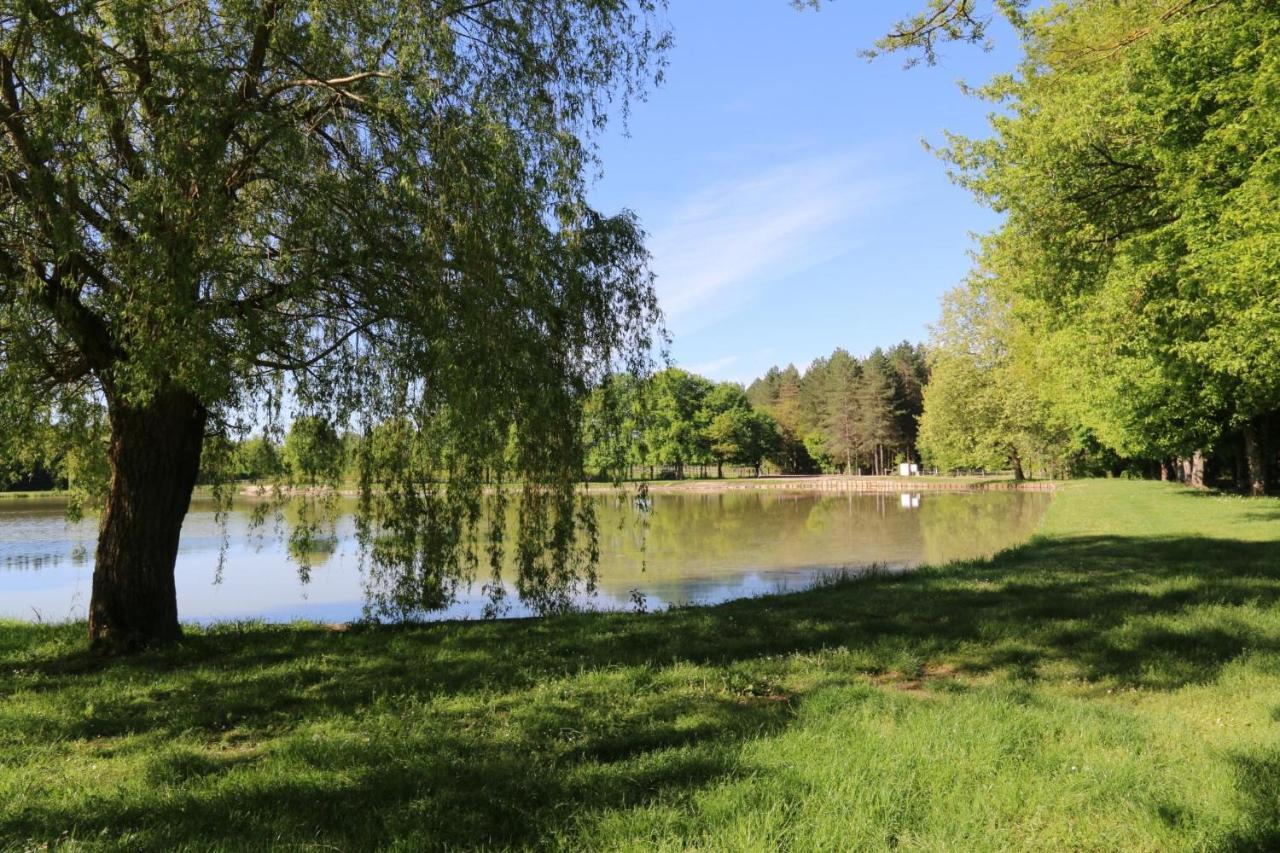 Gite Plein Coeur De Sologne Villa Marcilly-en-Gault Esterno foto